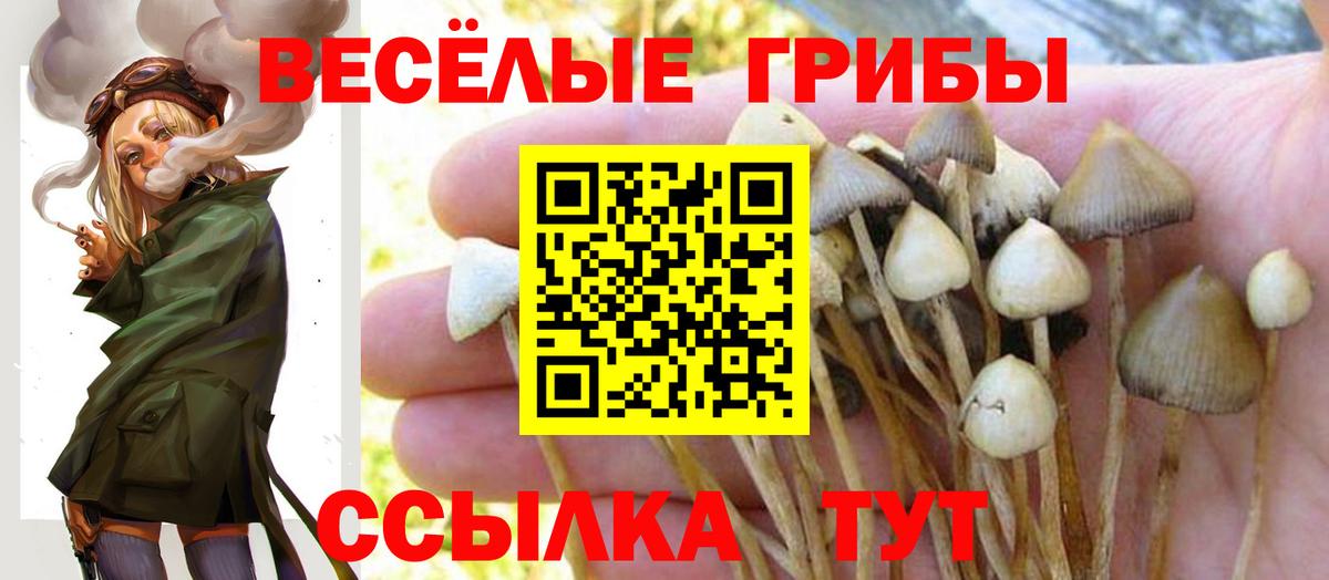 Псилоцибиновые грибы GOLDEN TEACHER  наркотики  Бугуруслан  Вход с VPN  Псилоцибиновые грибы GOLDEN TEACHER 